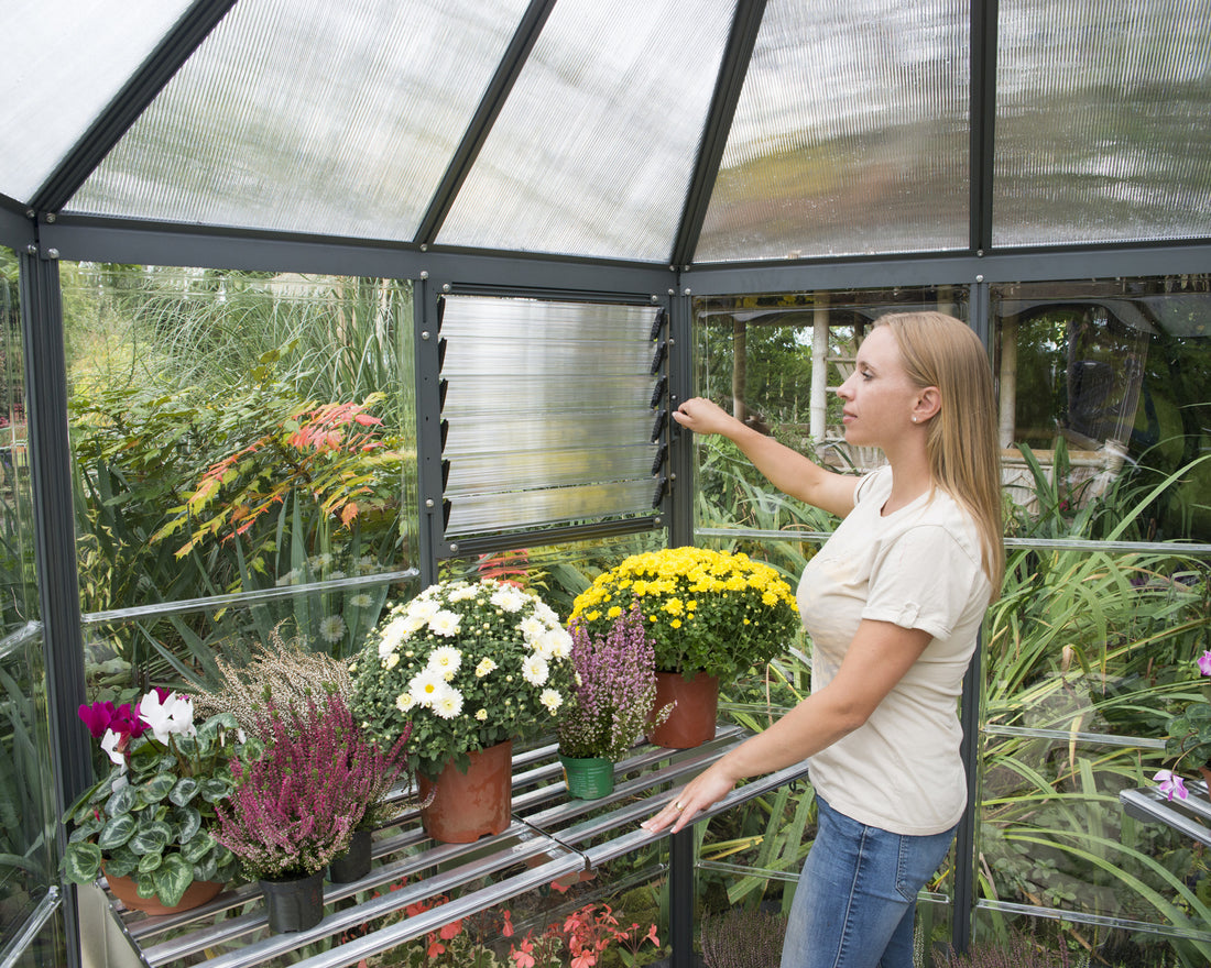 Oasis™ Hexagonal Greenhouse