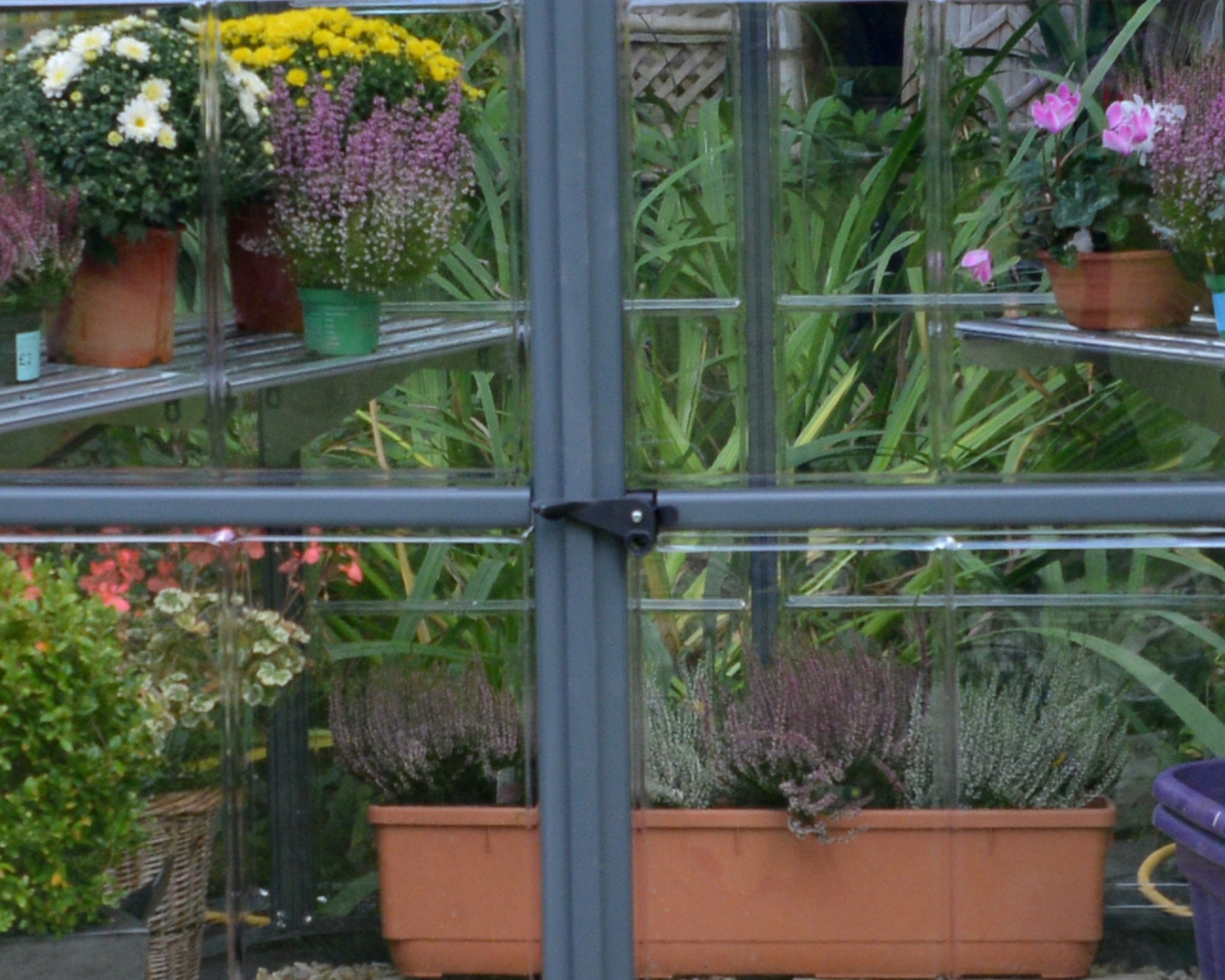 Oasis™ Hexagonal Greenhouse