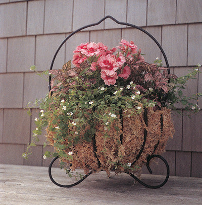 Classic Ironwork Cauldron Planters - World of Greenhouses - 1