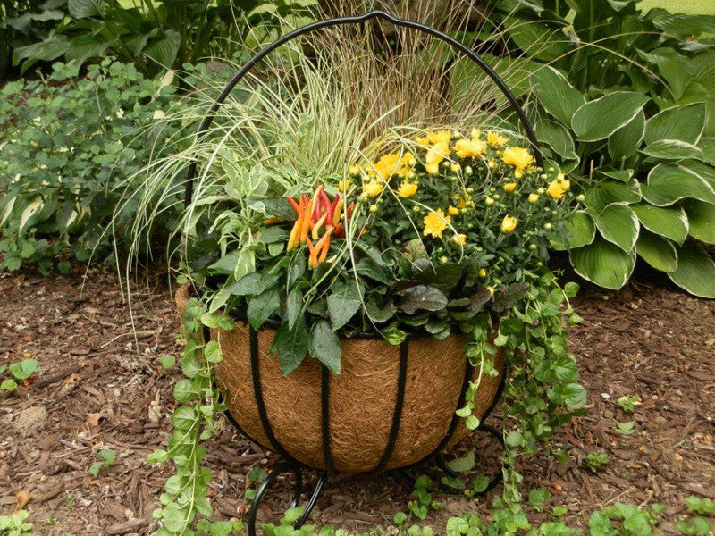 cauldron plant pot 14 Inch Cauldron & Coco Fiber Liner Set