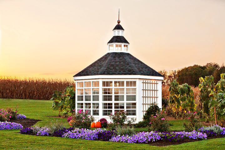 The Garden Shed Greenhouse - World of Greenhouses