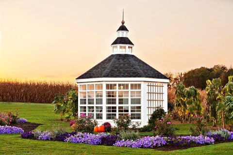 The Garden Shed Greenhouse - World of Greenhouses