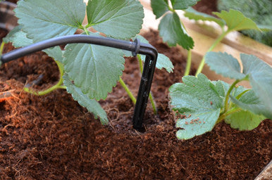 Palram Drip Irrigation Kit - World of Greenhouses - 5