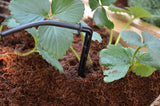 Palram Drip Irrigation Kit - World of Greenhouses - 5