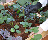 Palram Drip Irrigation Kit - World of Greenhouses - 4