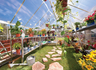 Essence 8 x 12 Hobby Greenhouse Kit - World of Greenhouses - 3