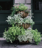 Classic Ironwork Cascade Planter - World of Greenhouses - 1