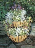 Classic Ironwork Cascade Planter - World of Greenhouses - 2