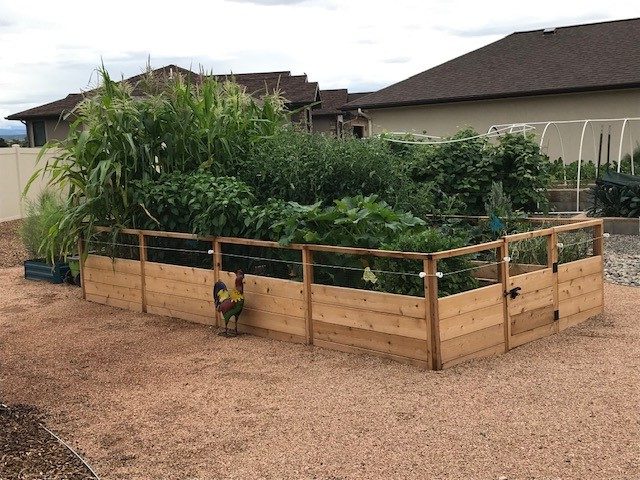 cedar raised garden bed full of shrubs
