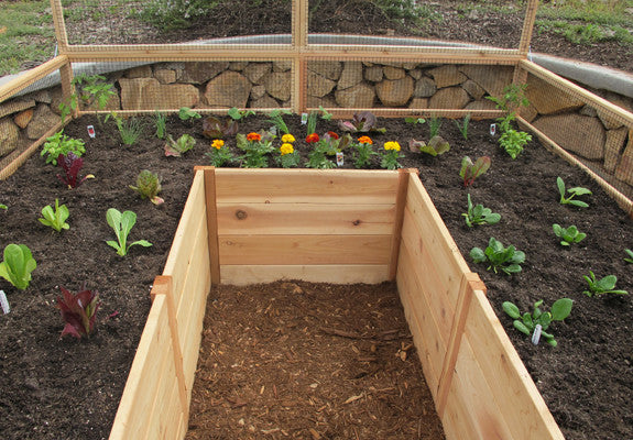 OLT Raised Garden Bed 8'x8'  interior