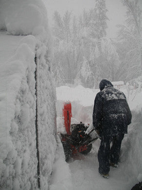 Riga greenhouse - World of Greenhouses - 6