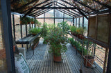 Royal Victorian Greenhouses - World of Greenhouses - 12